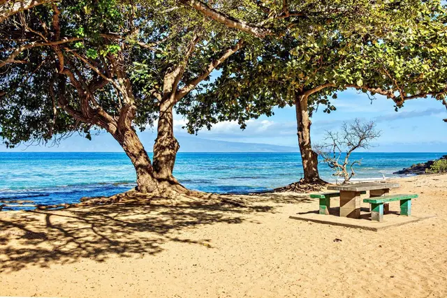 Listing Image for 3660 Lower Honoapiilani Rd 308 8 of 18