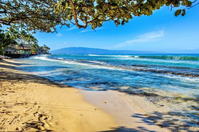 Listing Image for 3660 Lower Honoapiilani Rd 308 9 of 18