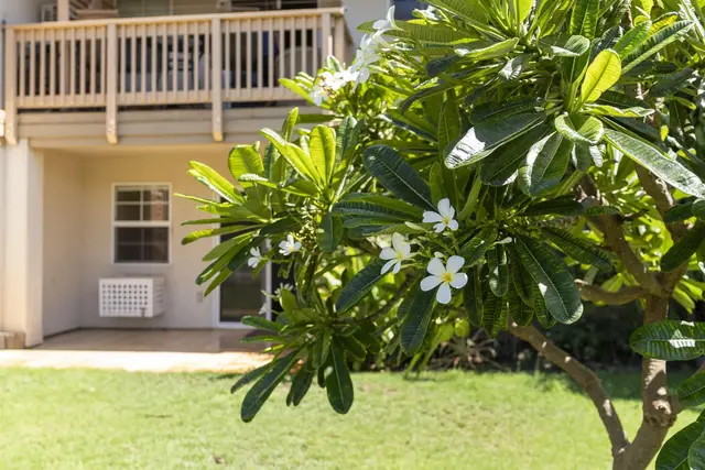 Listing Image for 40 Halili Ln 4m 34 of 43