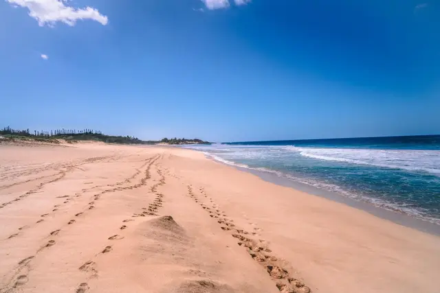 Listing Image for 3575 Kalua Koi Rd 152 12 of 20