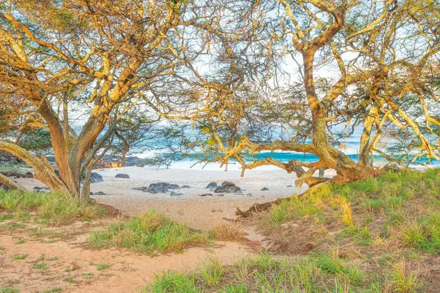 Listing Image for 3575 Kalua Koi Rd 152 13 of 20