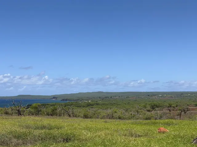 Listing Image for 3575 Kalua Koi Rd 152 18 of 20