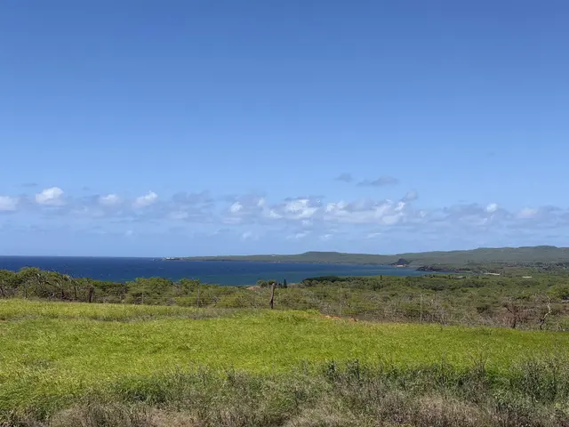 Listing Image for 3575 Kalua Koi Rd 152 20 of 20