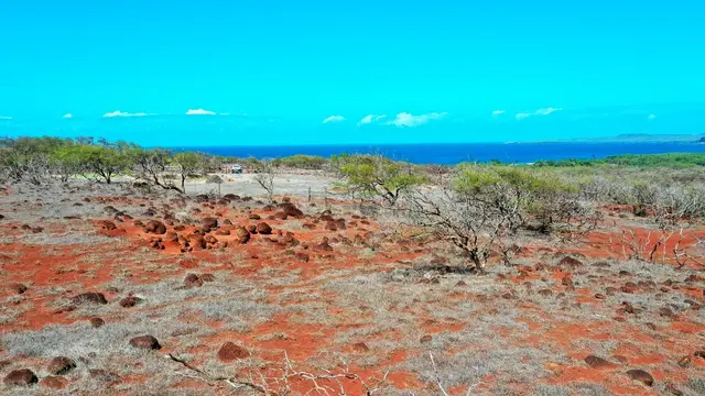 Listing Image for 3575 Kalua Koi Rd 152 5 of 20