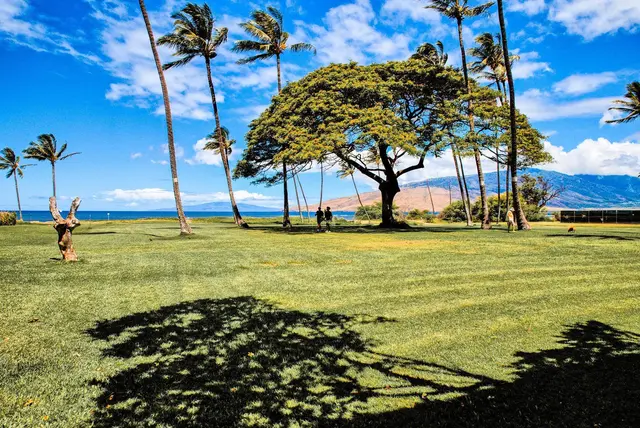 Listing Image for 1002 S Kihei Rd 304 10 of 22