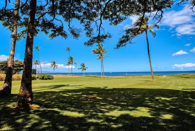 Listing Image for 1002 S Kihei Rd 304 11 of 22