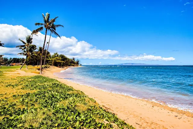 Listing Image for 1002 S Kihei Rd 304 12 of 22