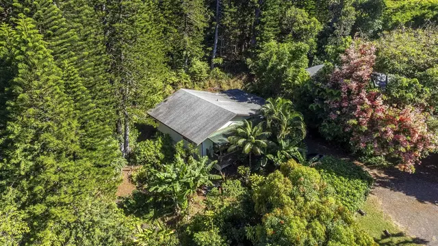 Listing Image for 998 Kauhikoa Rd #4 1 of 41