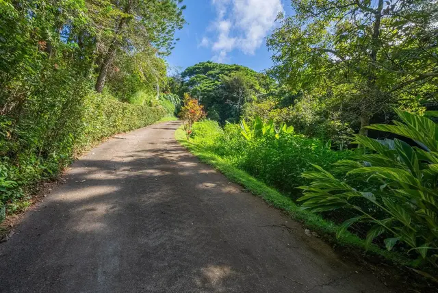 Listing Image for 998 Kauhikoa Rd #4 18 of 41