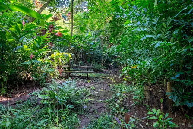 Listing Image for 998 Kauhikoa Rd #4 20 of 41