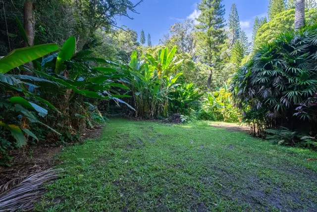 Listing Image for 998 Kauhikoa Rd #4 22 of 41
