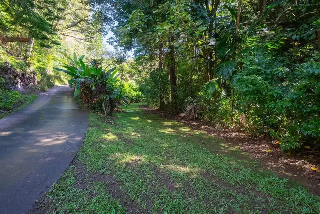 Listing Image for 998 Kauhikoa Rd #4 23 of 41