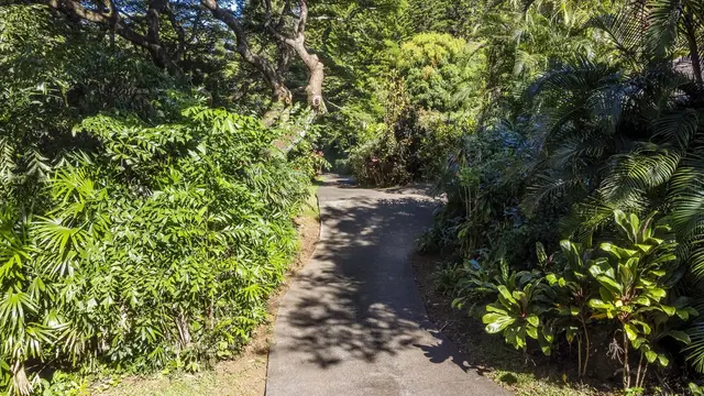 Listing Image for 998 Kauhikoa Rd #4 24 of 41