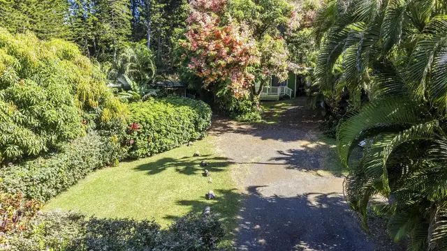 Listing Image for 998 Kauhikoa Rd #4 40 of 41