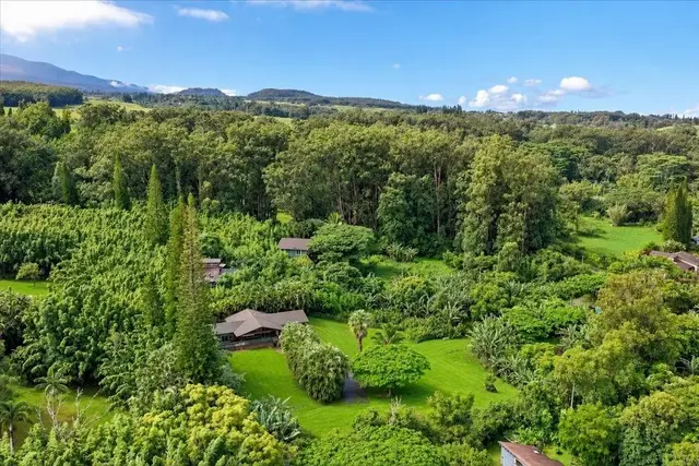 Listing Image for 183 Kapuai Rd 2 of 33