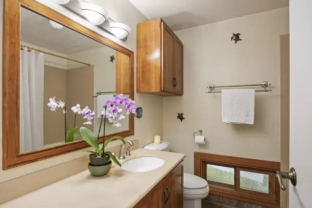 Listing Image for 2169 Aluna Pl 30 of 50