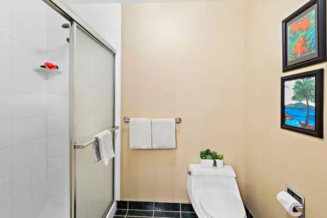 Listing Image for 4299 Lower Honoapiilani Rd 317 31 of 50
