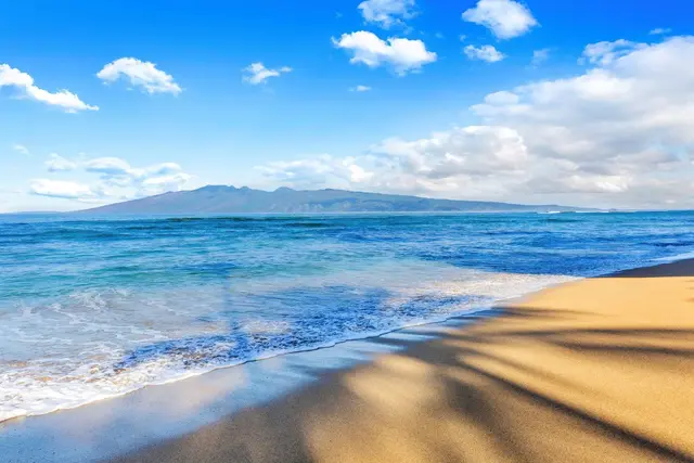 Listing Image for 4299 Lower Honoapiilani Rd 317 44 of 50