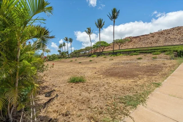 Listing Image for 4 Anapuni Loop 15 of 44