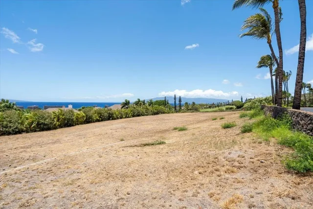 Listing Image for 4 Anapuni Loop 19 of 44