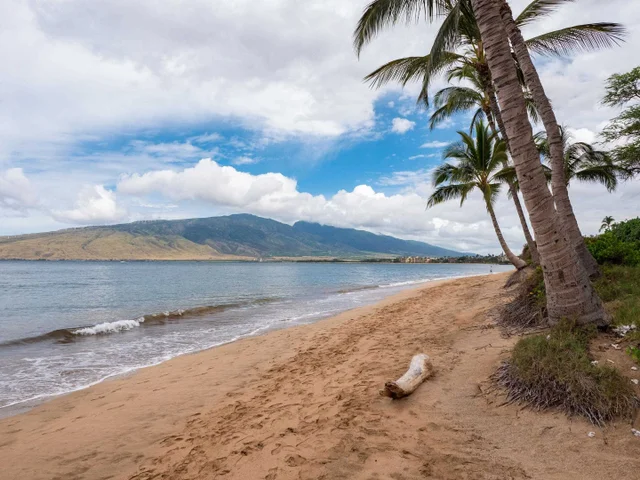 Listing Image for 16 Kai Makani Loop 202 9 of 10