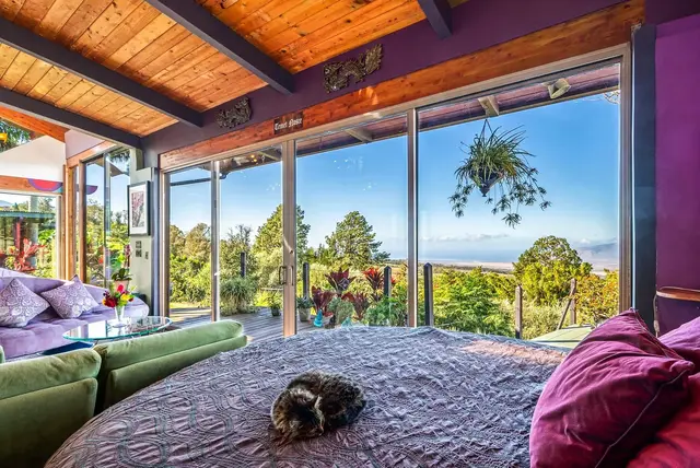 Listing Image for 1850 Olinda Rd 19 of 49