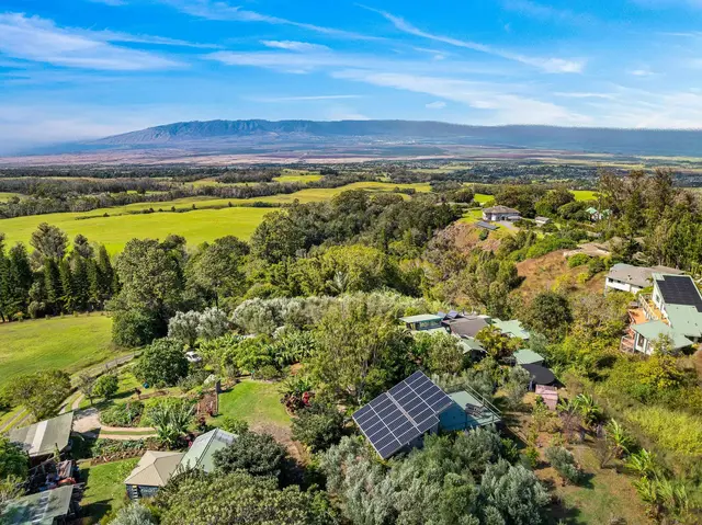 Listing Image for 1850 Olinda Rd 29 of 49