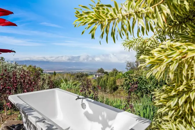 Listing Image for 1850 Olinda Rd 39 of 49