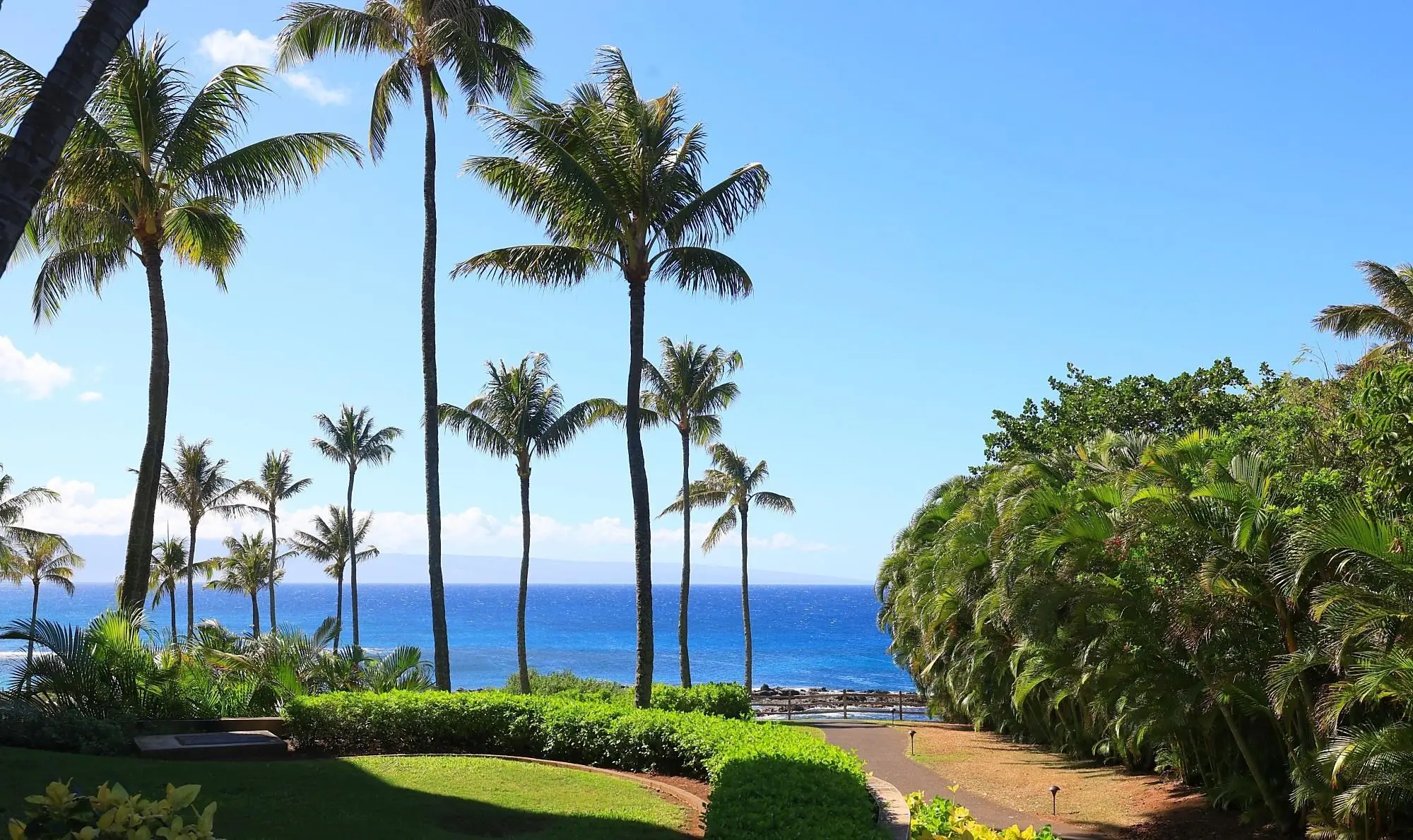 Photo of Listing #407801