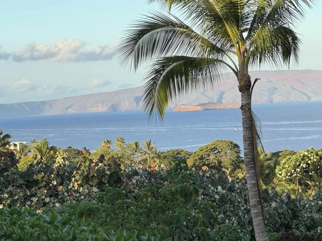 Listing Image for 52 Kai Malu Dr 102 (9b) 3 of 49