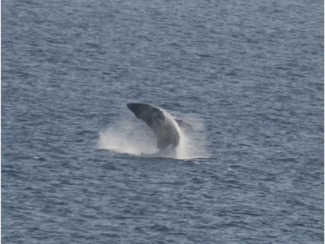 Listing Image for 52 Kai Malu Dr 102 (9b) 31 of 49