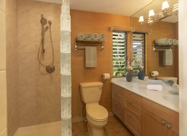Listing Image for 3300 Wailea Alanui Dr 3d 18 of 50