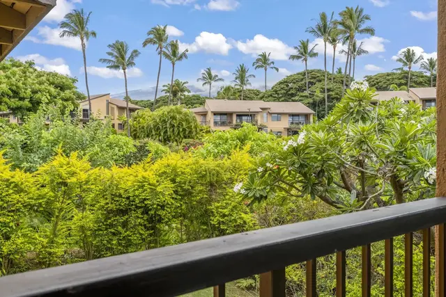 Listing Image for 3300 Wailea Alanui Dr 3d 23 of 50