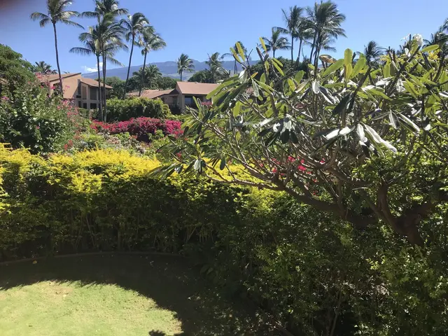 Listing Image for 3300 Wailea Alanui Dr 3d 24 of 50