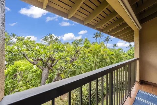 Listing Image for 3300 Wailea Alanui Dr 3d 25 of 50