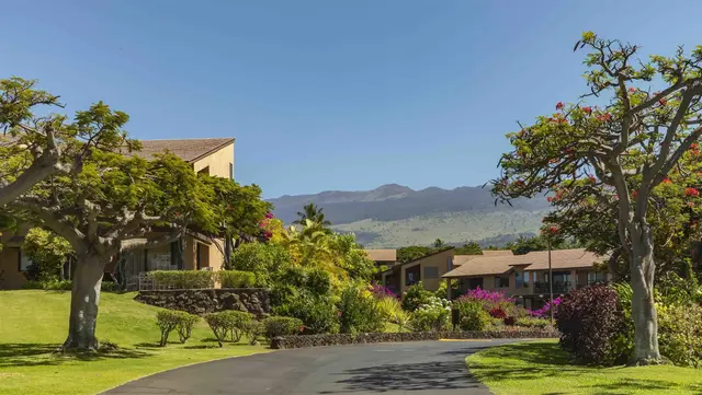 Listing Image for 3300 Wailea Alanui Dr 3d 26 of 50