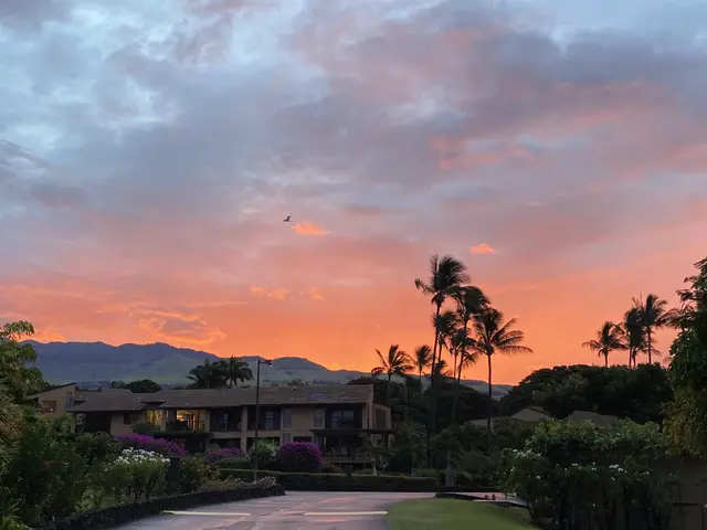 Listing Image for 3300 Wailea Alanui Dr 3d 27 of 50