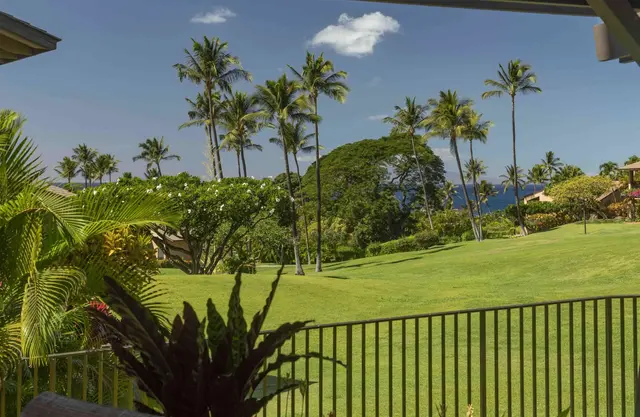 Listing Image for 3300 Wailea Alanui Dr 3d 29 of 50