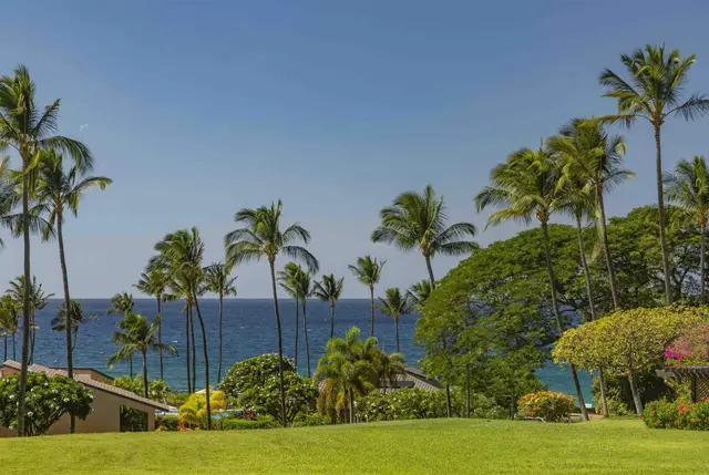 Listing Image for 3300 Wailea Alanui Dr 3d 31 of 50
