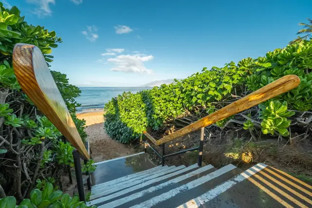 Listing Image for 3300 Wailea Alanui Dr 3d 44 of 50