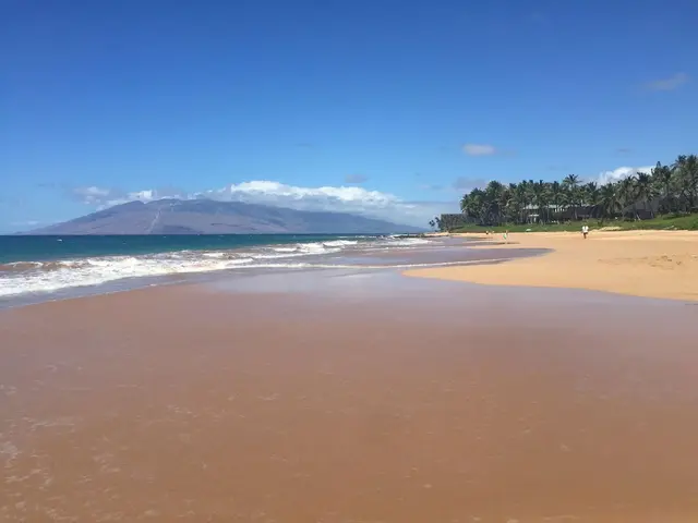 Listing Image for 3300 Wailea Alanui Dr 3d 45 of 50