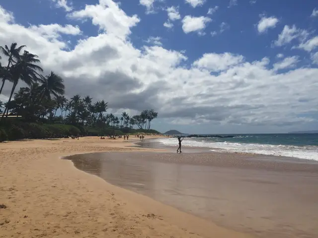 Listing Image for 3300 Wailea Alanui Dr 3d 46 of 50