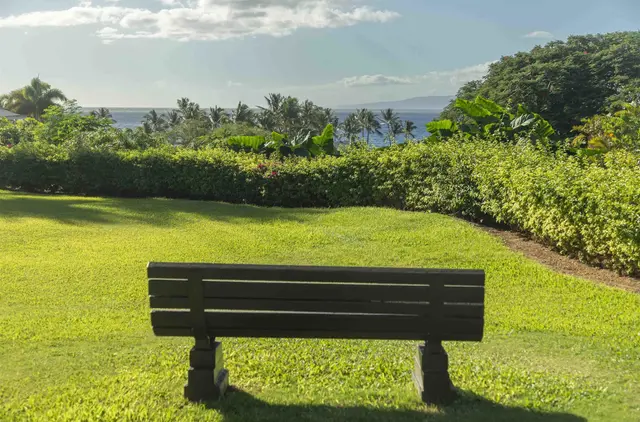 Listing Image for 3300 Wailea Alanui Dr 3d 48 of 50