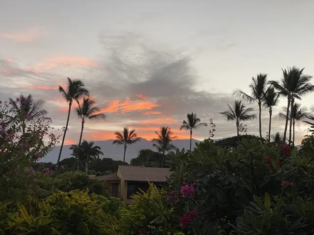 Listing Image for 3300 Wailea Alanui Dr 3d 49 of 50