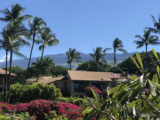 Listing Image for 3300 Wailea Alanui Dr 3d 5 of 50