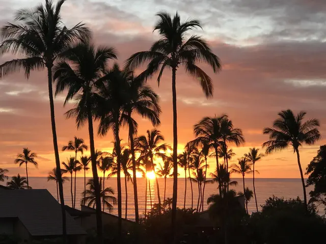 Listing Image for 3300 Wailea Alanui Dr 3d 50 of 50