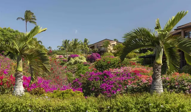 Listing Image for 3300 Wailea Alanui Dr 3d 8 of 50
