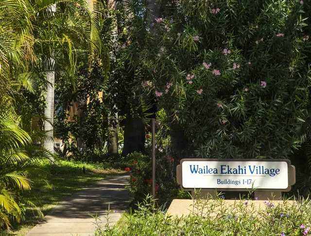 Listing Image for 3300 Wailea Alanui Dr 3d 9 of 50
