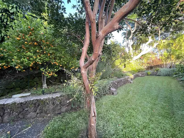 Listing Image for 10 N Hiena Pl 34 of 37