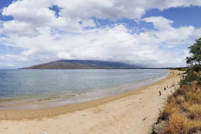 Listing Image for 940 S Kihei Rd C207 24 of 44